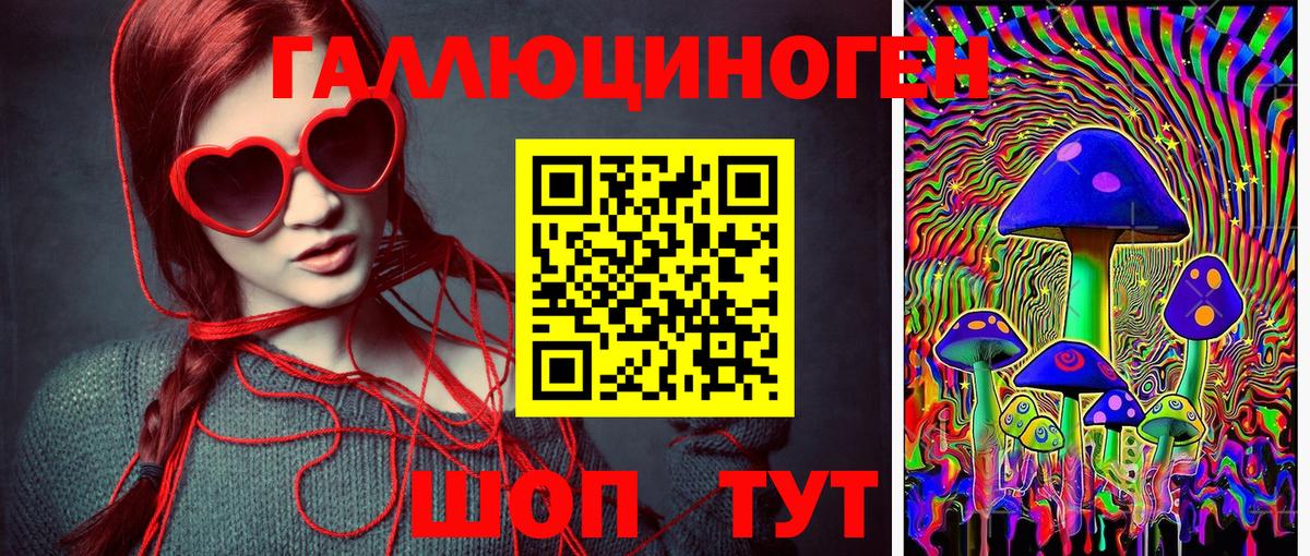 Псилоцибиновые грибы мицелий Петропавловск-Камчатский