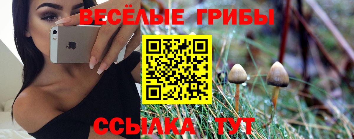 Петропавловск-Камчатский  Псилоцибиновые грибы мицелий  Вход с VPN  Галлюциногенные грибы MAGIC MUSHROOMS 